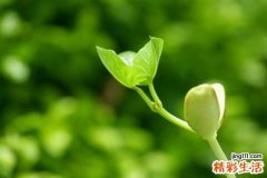 发烧的原因_发烧是怎么引起的