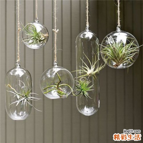 孩子眼皮浮肿何原因？