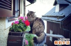 孩子反复长针眼怎么办