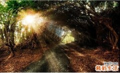 老年人患上心脏病怎么治疗