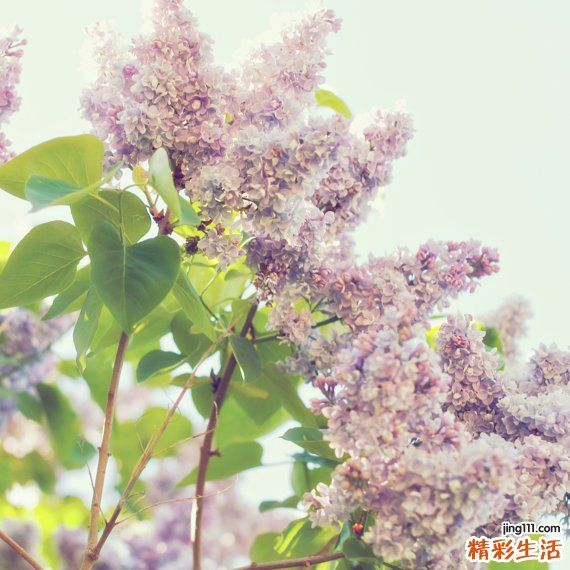 淋病发病通常会引发什么危害