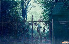 隔膜孔道狭小的诊断_隔膜孔道狭小的鉴别