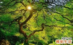 胆囊息肉的症状有什么呢？该注意什么？