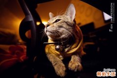 警惕不良饮食方式成致癌凶手