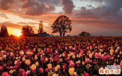 乏特壶腹周围癌吃什么好，乏特壶腹周围癌不能吃什么