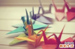 维生素C不能预防感冒