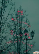 小儿远端肾小管酸中毒的症状，小儿远端肾小管酸中毒的早期症状，并发症