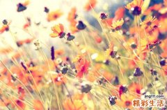 包茎会不会影响性生活呢？