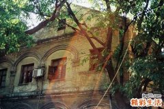 包茎的并发症有哪些