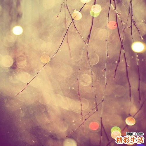 如何预防登革热,该如何治疗