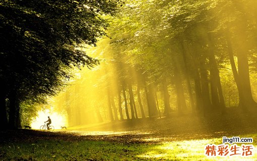 子宫内膜癌的危害是什么？