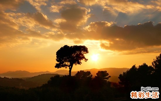 卵巢肿瘤的四大并发症都是什么呢