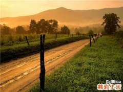 胃口不好 挤脚的鞋难辞其咎