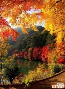 输卵管不通还能生育么?