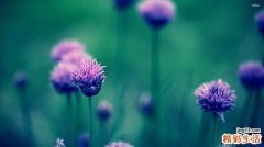 什么是“开-关”现象？