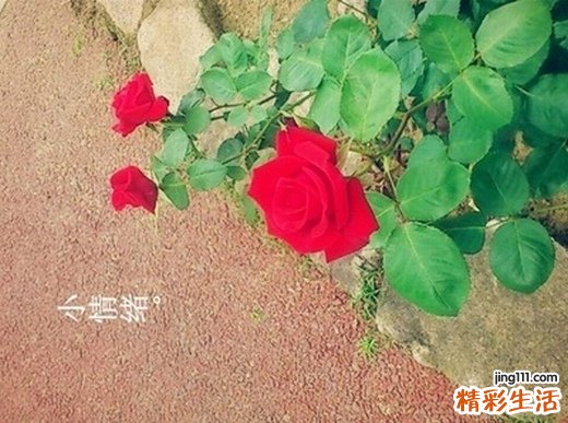 不要小看口臭问题，长期口臭怎么办