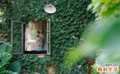 自我定向障碍的诊断_自我定向障碍的鉴别