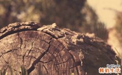 小儿原发性膀胱输尿管反流的症状，小儿原发性膀胱输尿管反流的早期症状，并发症