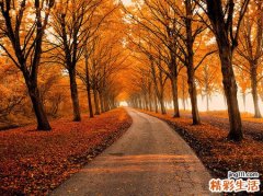 膝盖骨质增生的症状有哪些