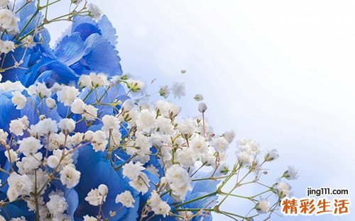 眉下垂或位置低的诊断_眉下垂或位置低的鉴别