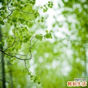 盘点前列腺炎的危害