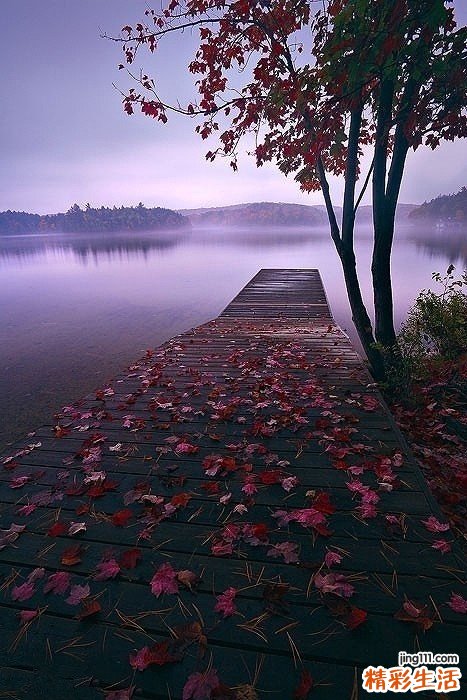 复发性生殖器疱疹有什么危害