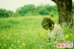 入秋换季 请防好皮肤病