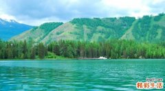 抗过敏药哪个时间服用最好？