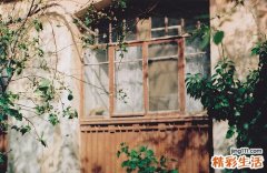 药物流产和手术流产都有危害