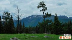 组织细胞增殖症的症状，组织细胞增殖症的早期症状，并发症