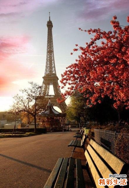 治疗脂肪肝需“两线作战”