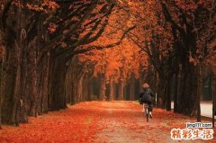 眼前冒紫烟的诊断_眼前冒紫烟的鉴别