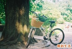 秋季鼻炎“找上门” 艾灸可缓解