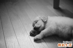 人流术后易出现哪些后遗症?