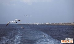 生活小细节 预防皮肤病