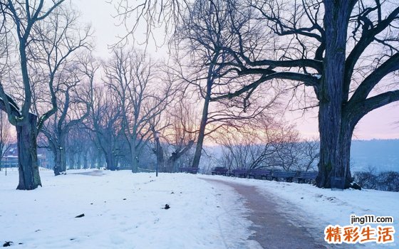 简简单单防治痱子