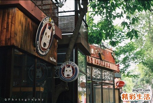 甲亢如何治疗之西医治疗