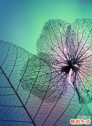 乙肝疫苗有哪些注意事项？