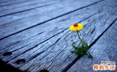 小儿病毒性心肌炎冬季高发 4大预防方法家长要谨记