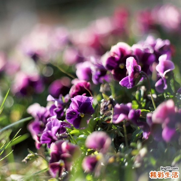 经前期紧张症如何防治