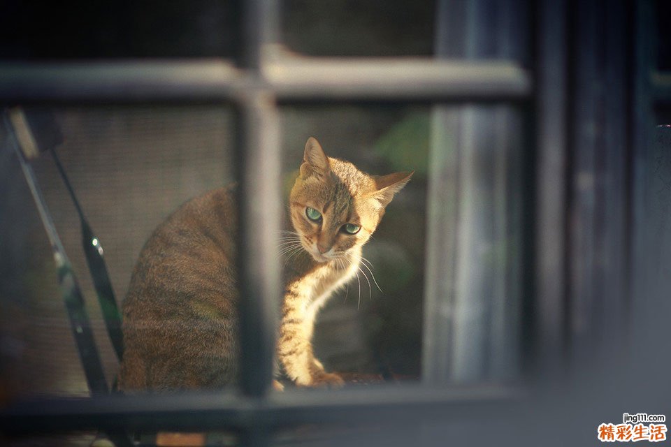 点按太冲穴 可解气清肝火