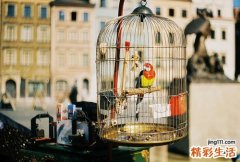 肺气肿患者自我保健法