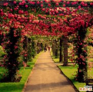 如何预防春季角结膜炎