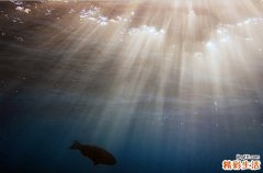 小儿便秘都会给小儿带来危害？