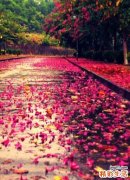 眼白过白的诊断_眼白过白的鉴别