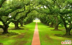 病理性黄疸症状有哪些