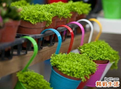 什么是肺癌骨转移