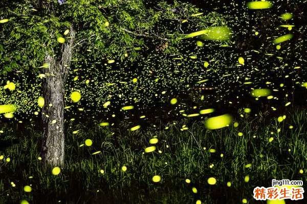 腹痛腹泻，小心肠易激综合征作怪