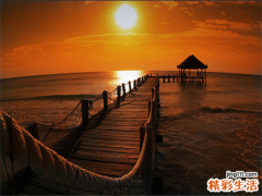 专家教你如何治疗男性阴虱？