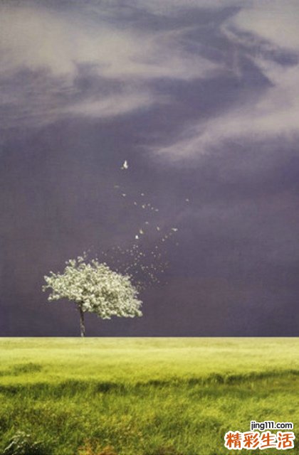 子宫有局限性轻压痛的诊断_子宫有局限性轻压痛的鉴别